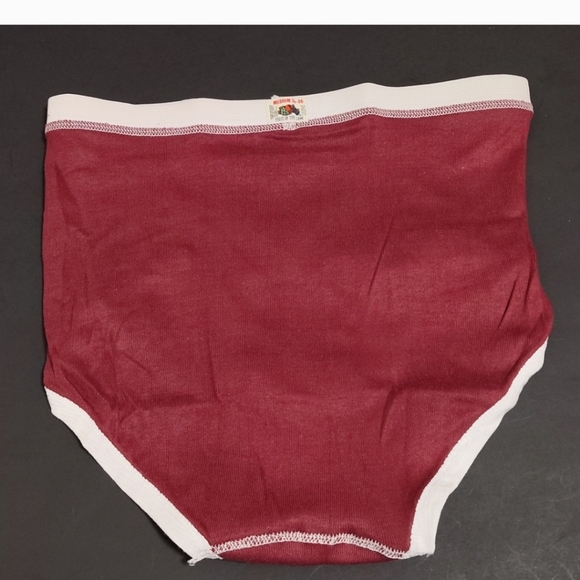 1 Pair, vintage 80's Fruit of the Loom Men's Fashion Briefs Sz M 34-36 - Picture 5 of 6